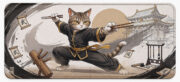Kung Fu Cat